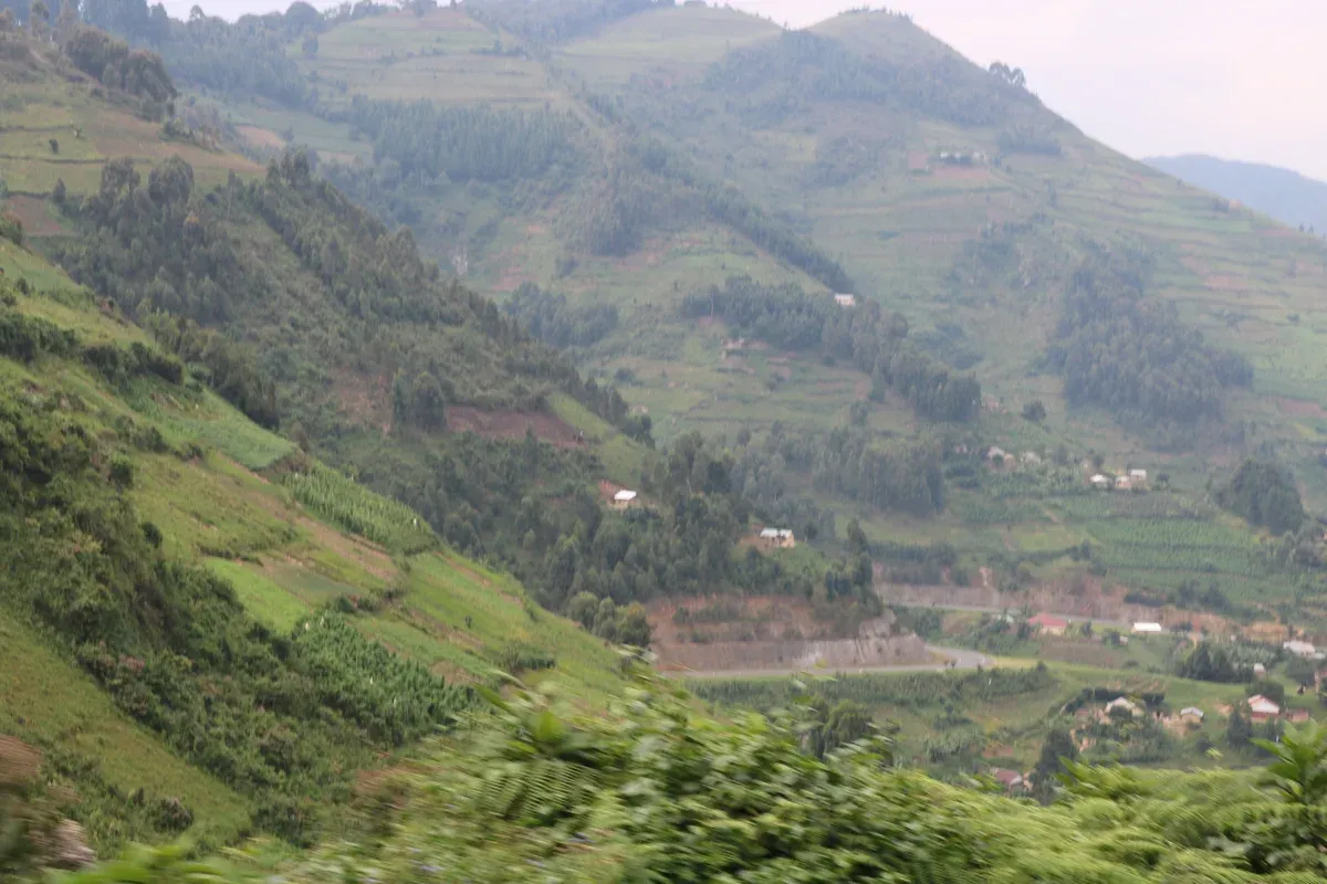 Terraced hills of south-western Uganda between Kabale and Kisoro